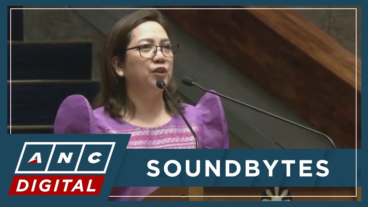 'Unparliamentary': Garin rejects Erice's claim majority dictating minority leadership roles | ANC
