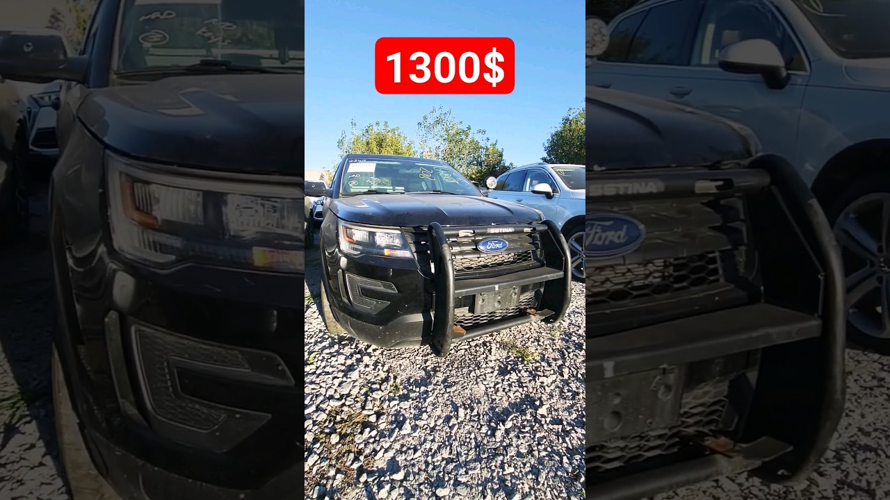 Ford Explorer Police 2017 за 1300$. Авто з США в Україні. Купити авто из США068-3555600 #авто_из_сша