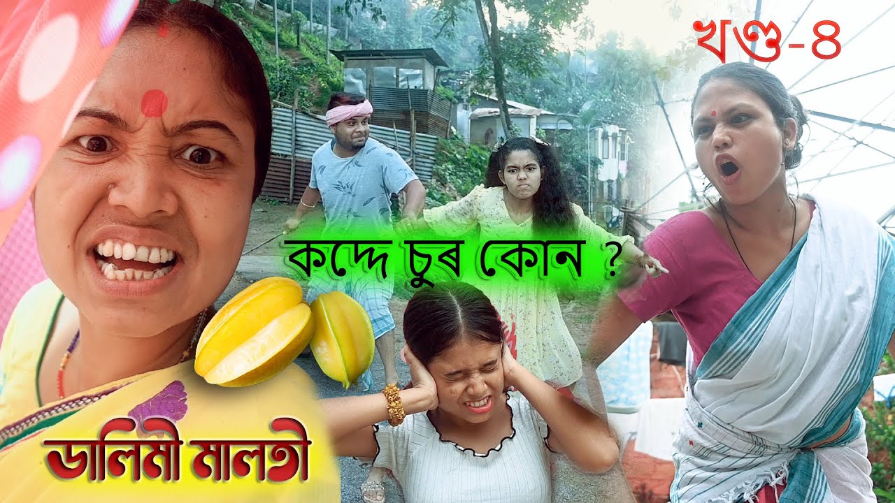 Dalimi Maloti কদ্দে চুৰ (খণ্ড-৪)  | Assamese funny video | comedy Assamese video