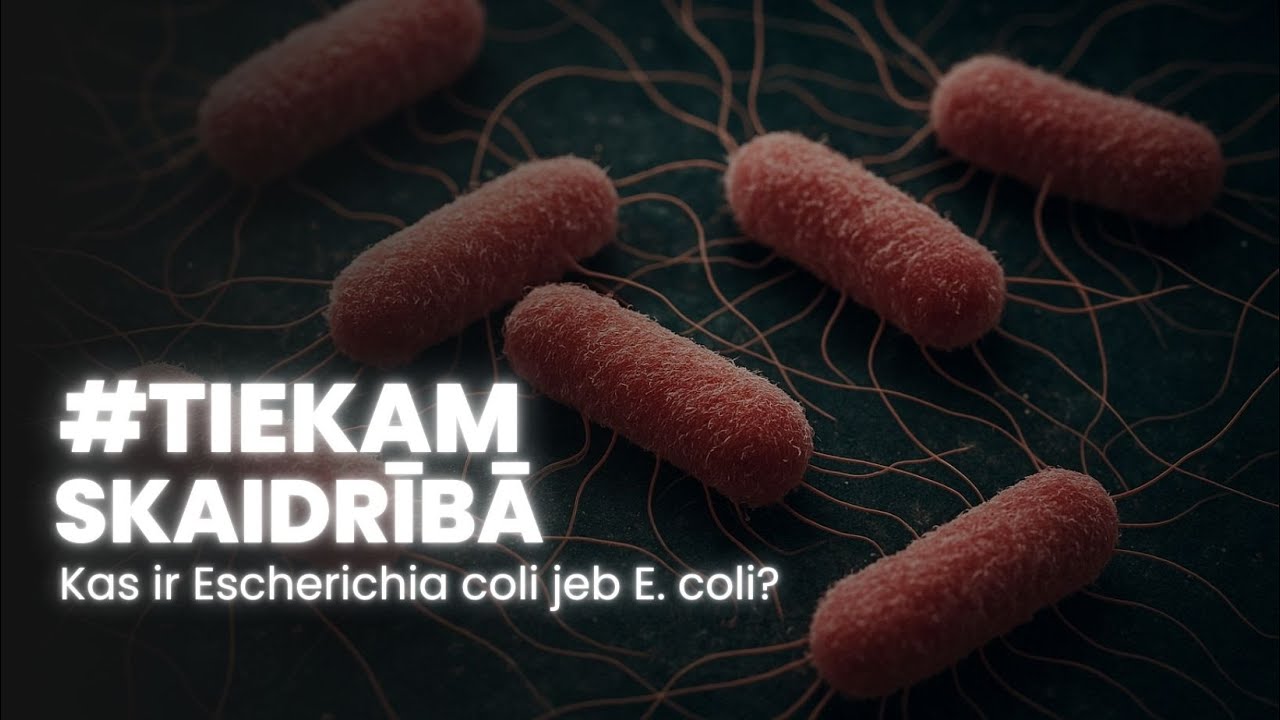 #TiekamSkaidrībā kas ir Escherichia coli jeb E. coli?