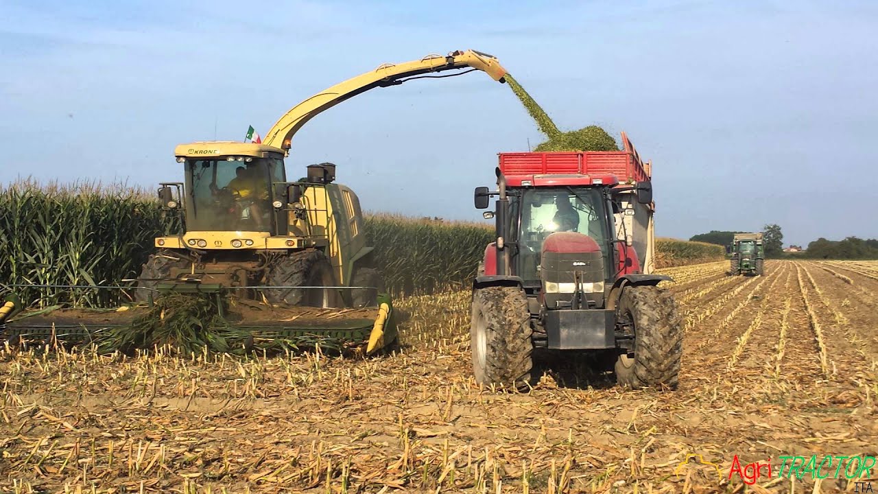 Mais silage - BIOGAS - F.lli Grignani