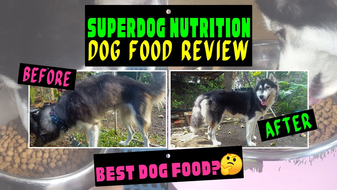 SUPERDOG NUTRITION DOG FOOD REVIEW