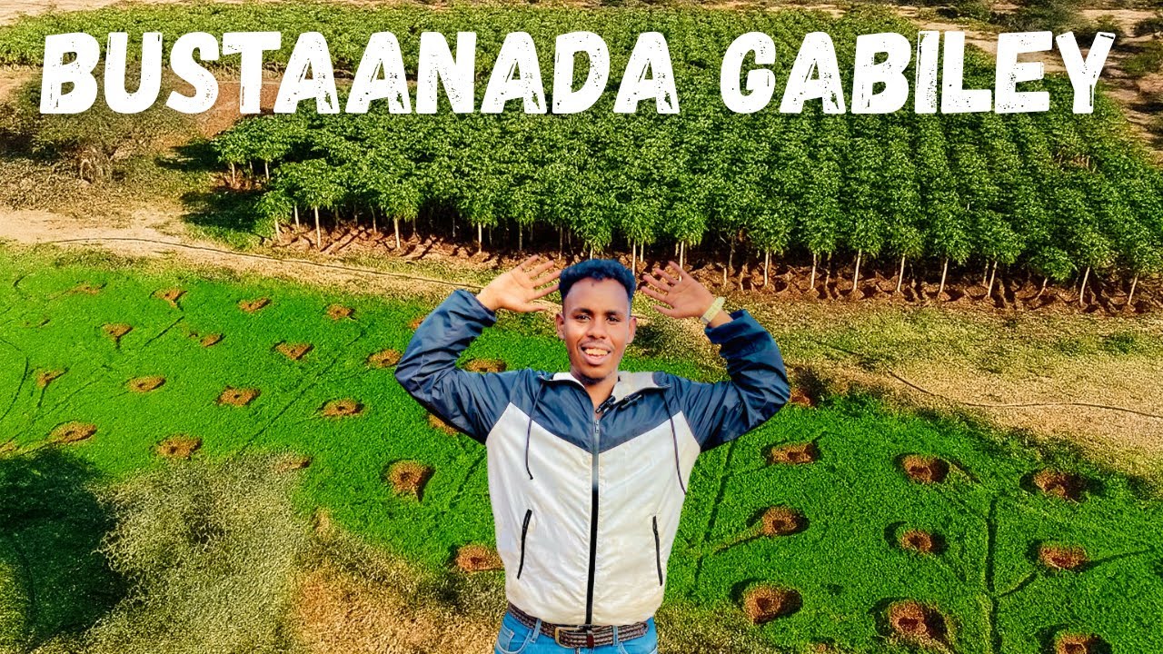 24 SAAC AYAAN KU NOOLAA BEERTA UGU WAYN GOBOLKA GABILEY ||
