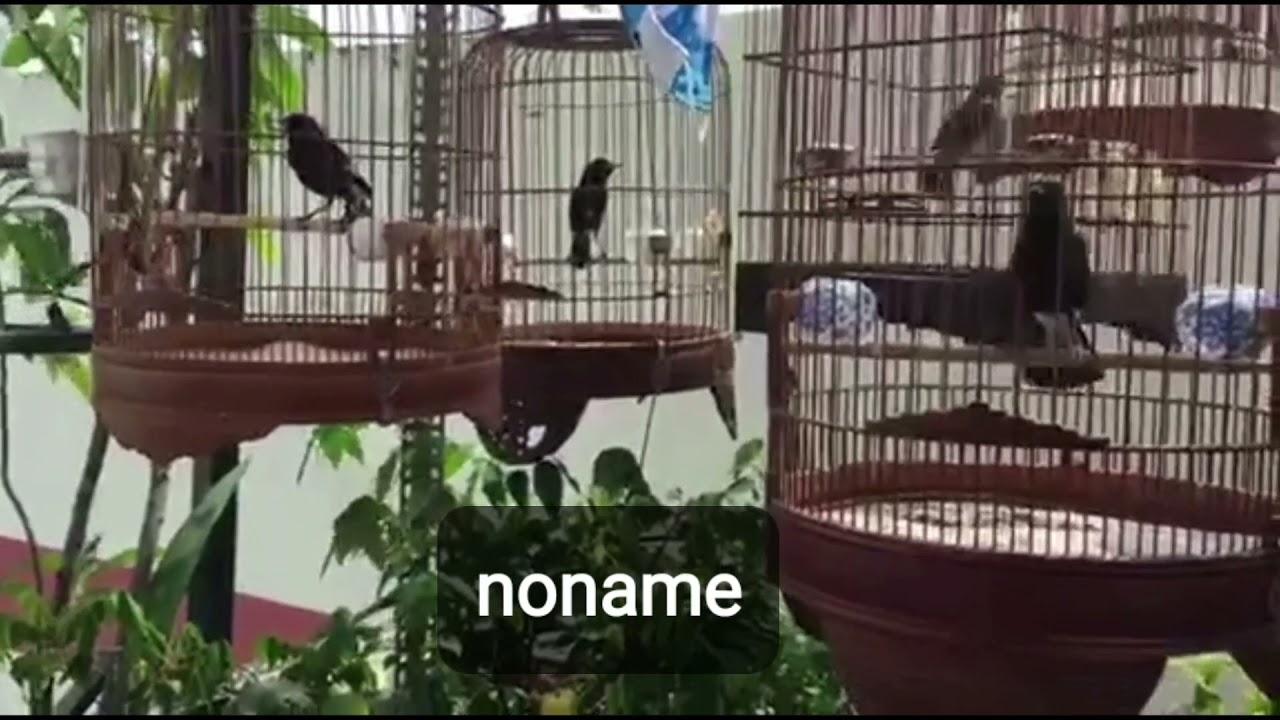 luyện ch&ograve;e đất bổi c&aacute;c v&ugrave;ng long an- đồng nai- dak n&ocirc;ng