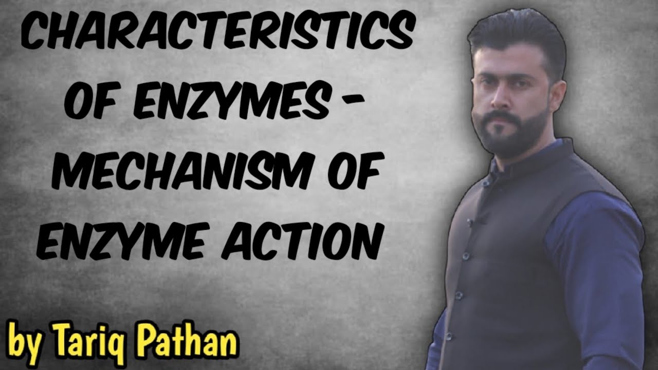 Chapter Enzymes - Characteristics of Enzymes - Mechanism of Enzyme Action by Tariq pAthan