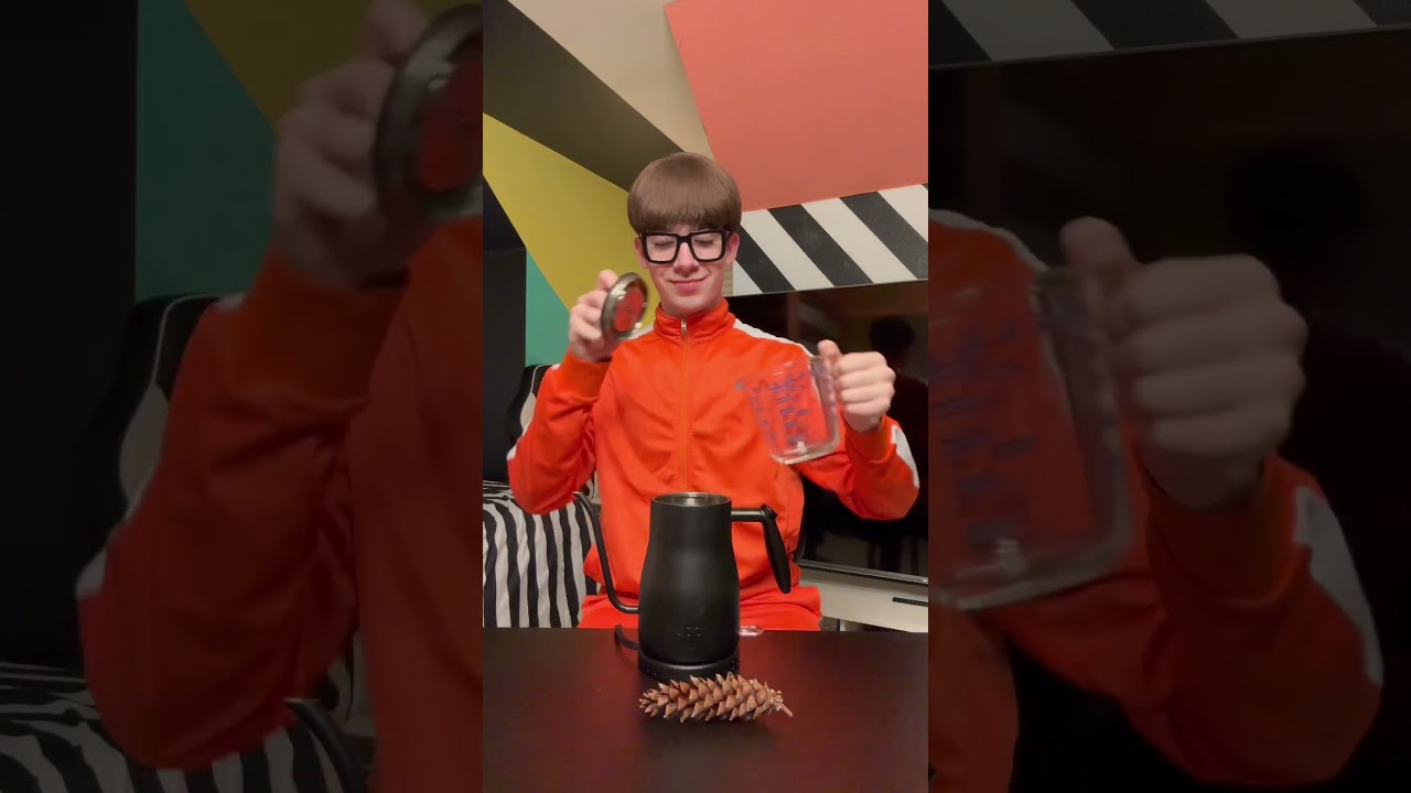 Shrinking pine cone