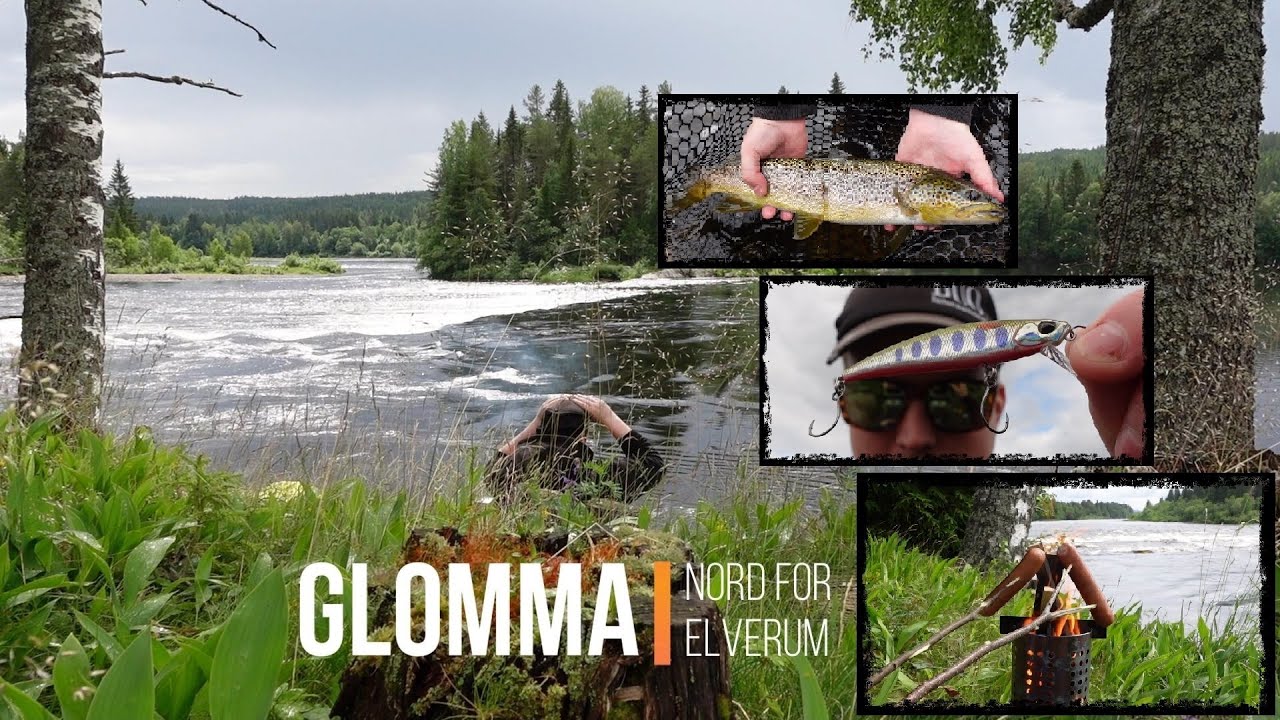 Fisketur i Glomma - Storfangst