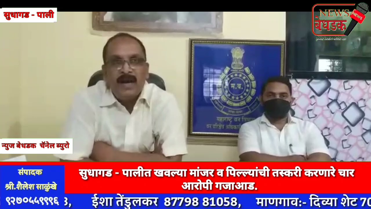 सुधागड- पालीत  खवल्या मांजर व पिल्ल्यांची तस्करी करणारे चार&nbsp;आरोपी गजाआड