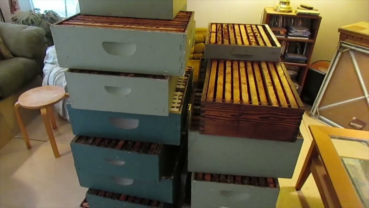 My Stack of Beekeeper Gold.  1-27-26