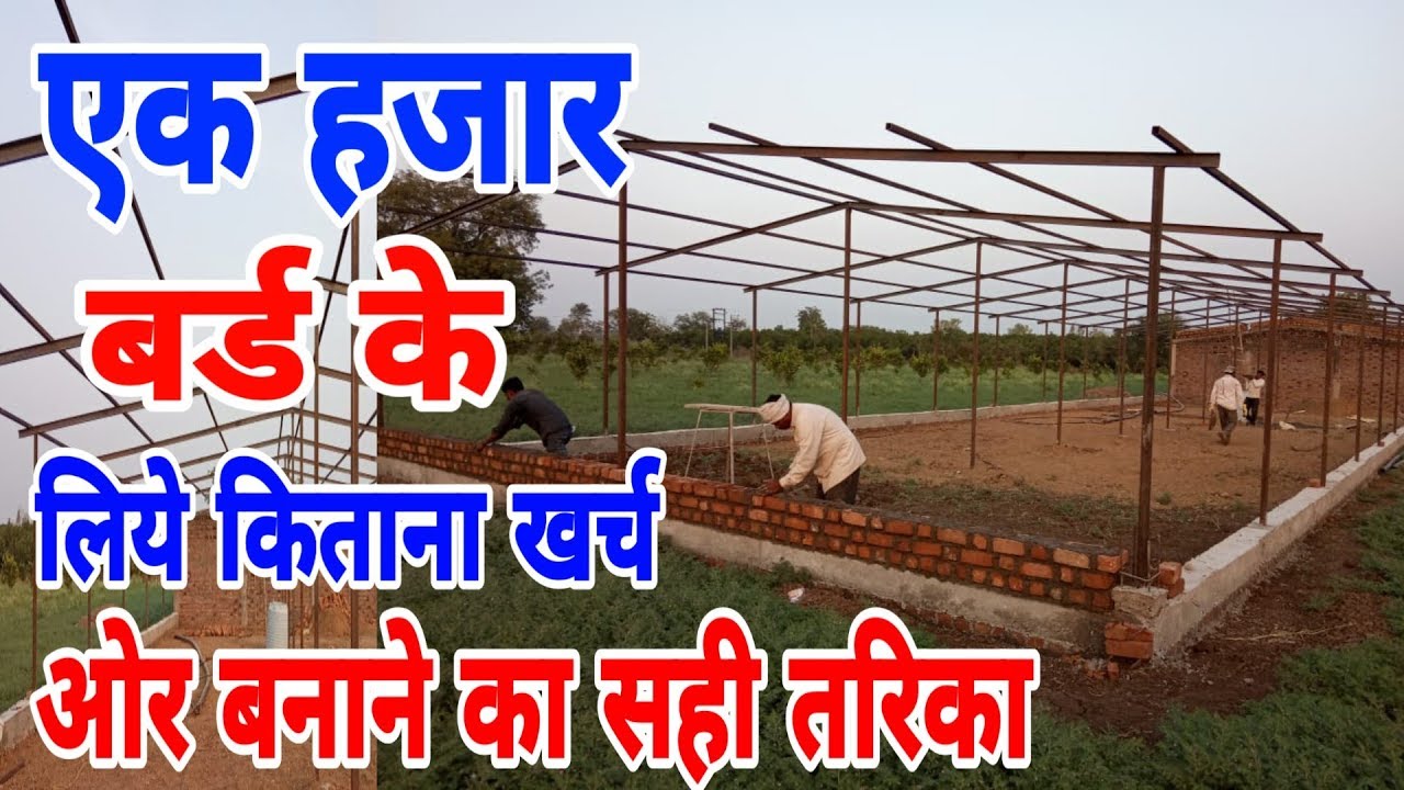 एक हजार बर्ड के  मुर्गी फार्म को किताना खर्च आता है | cost of 1000 chicken farm