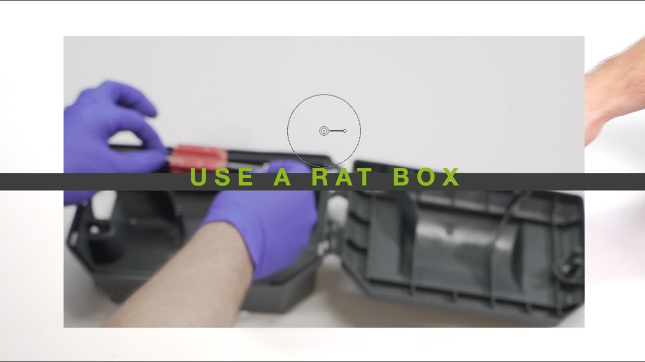How to use a Bait Station (Rat Box)