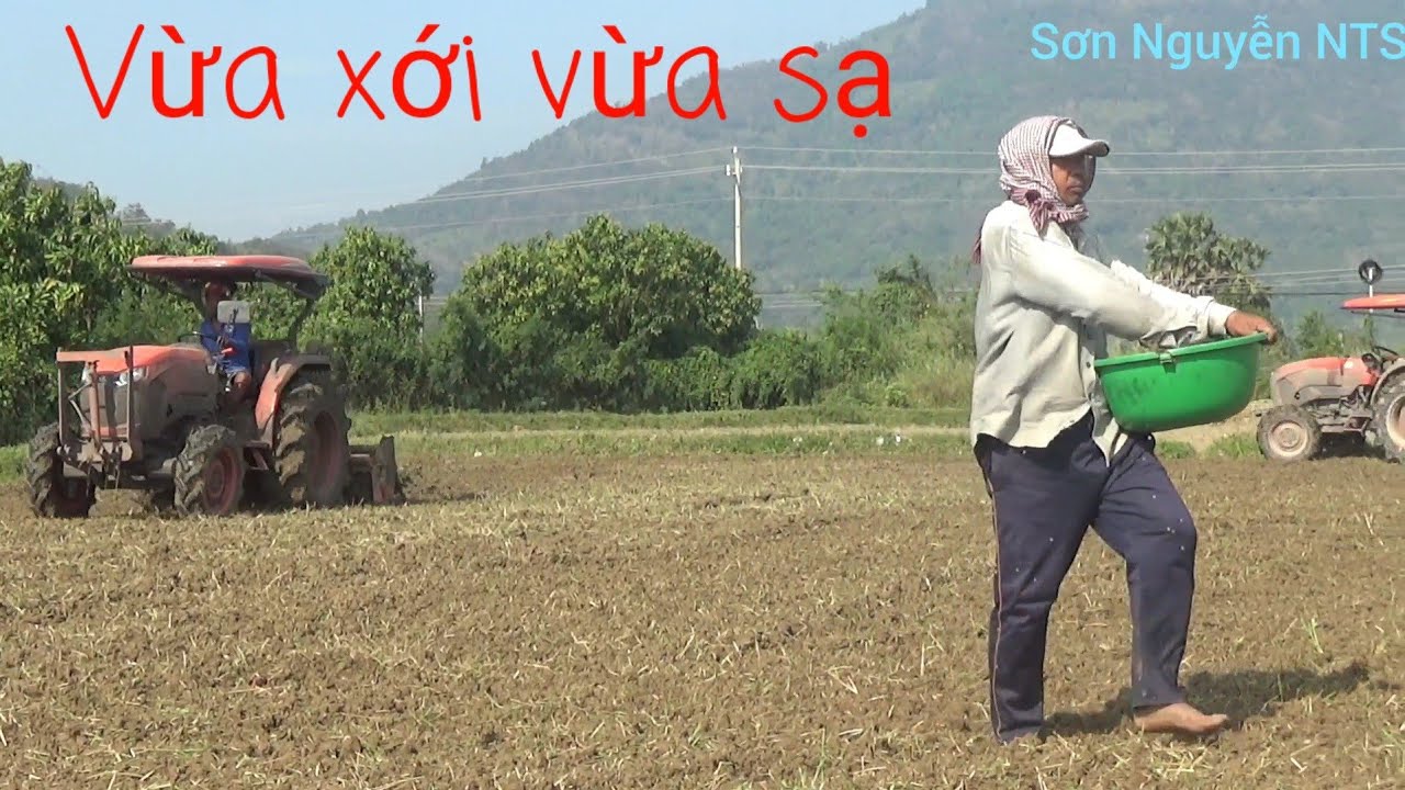 Vừa Sạ Và Máy Cày Vừa Xới Cách Xuống Giống Đậu Xanh
