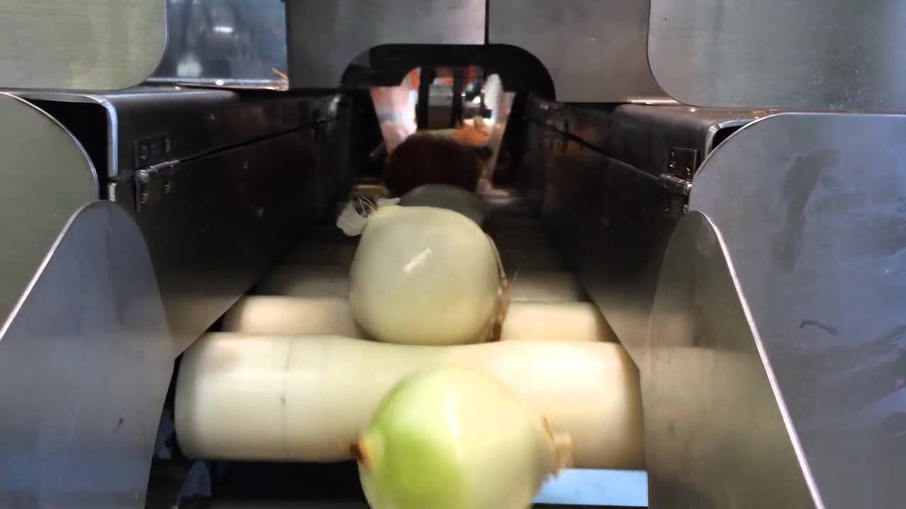 Onion Peeling + Stem Root Cutting (양파탈피기 뿌리꼭지절단기) CHAMCO - (주)참코청하