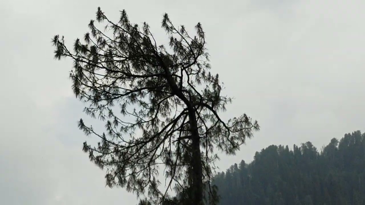 #dungagali #2022 Serenity