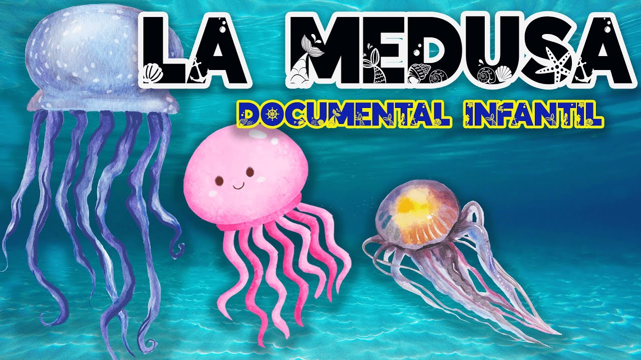LA MEDUSA 🌊 | Documentales para niños sobre animales | Animales marinos