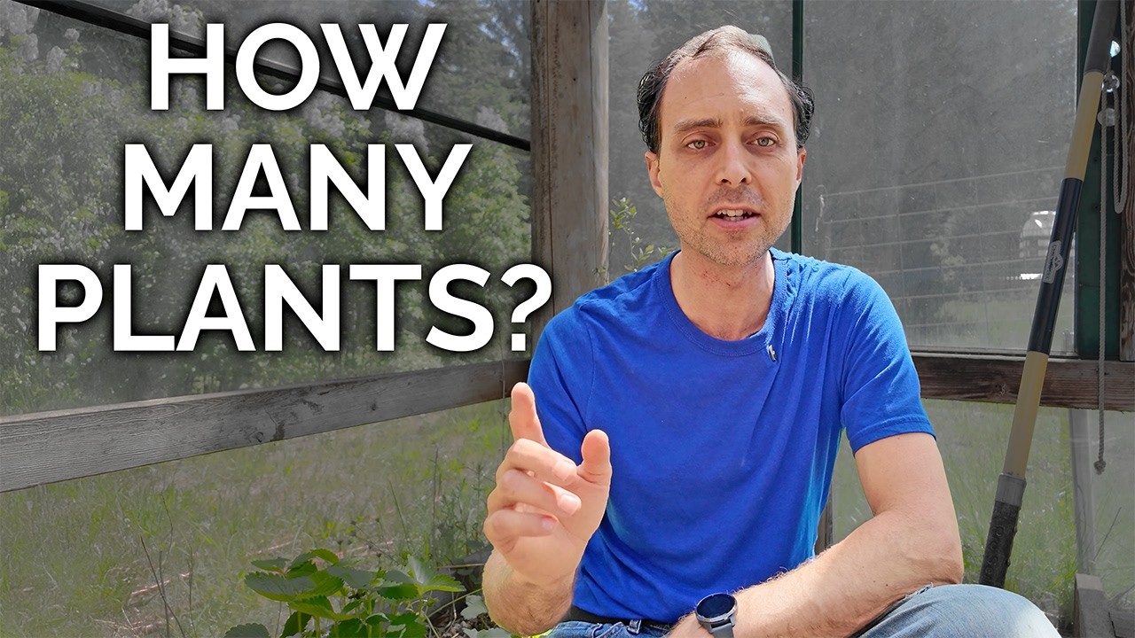 Plan the Perfect Garden Size for Self-Reliance (2025 Beginner's Guide)