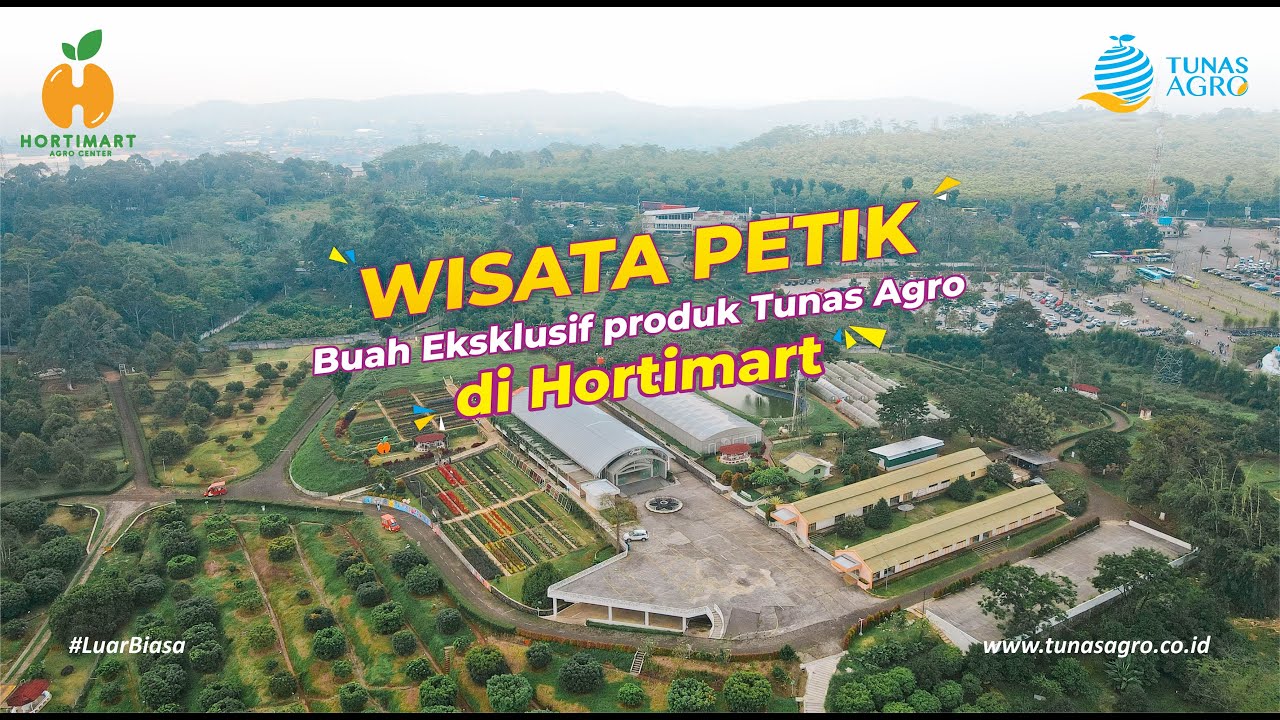 VIRAL !!! WISATA PETIK BUAH EKSKLUSIF dari Tunas Agro di Hortimart