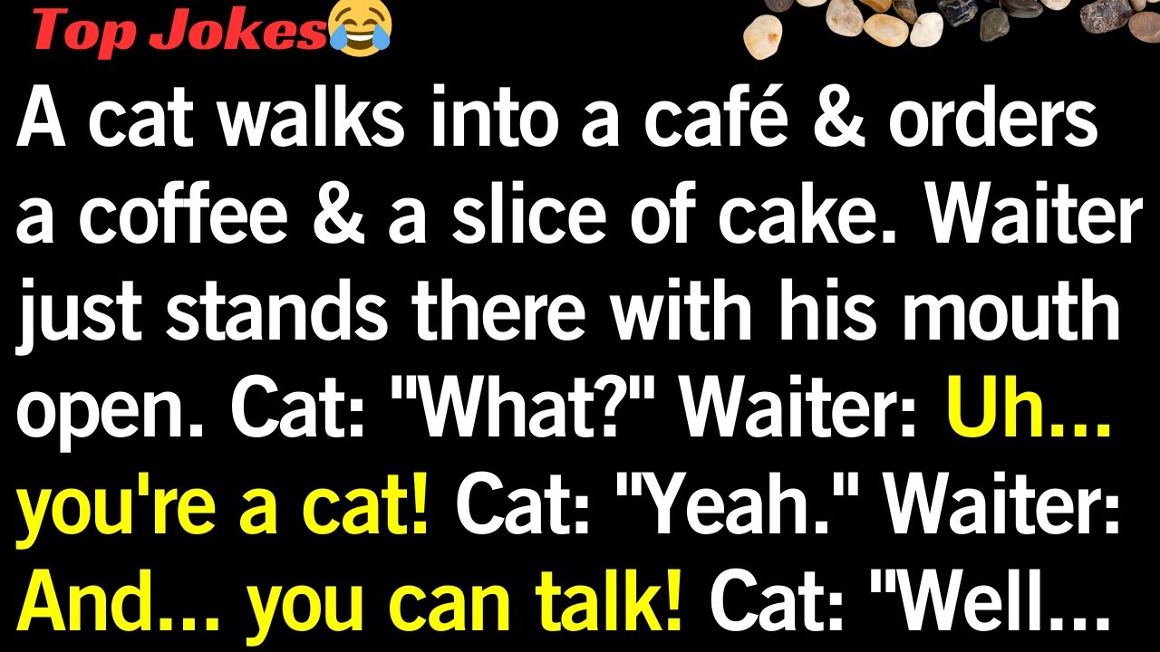 😂 Joke of the Day! A Cat with a Career Plan and a Coffee Break #jokesvideo