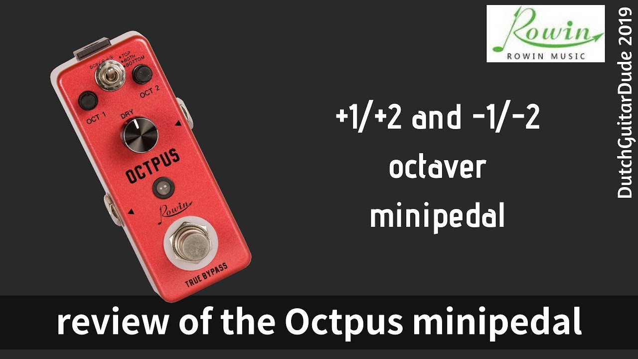 Обзор октавной педали Rowin Octpus Mini