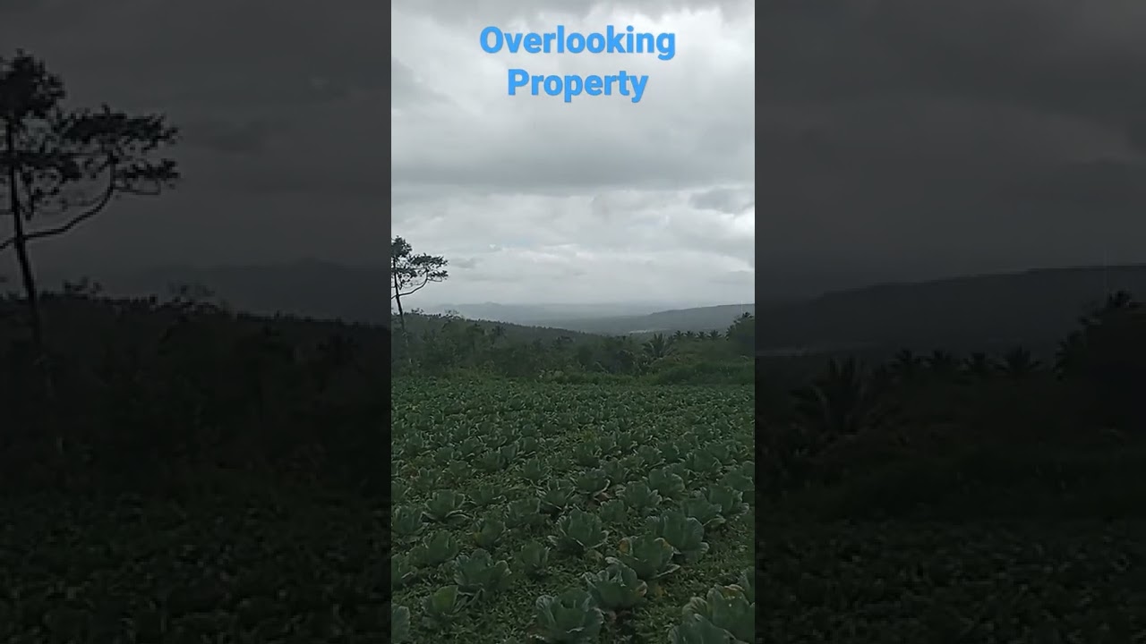 Overlooking Farm lot in Nagcarlan Laguna 3 hectares @ 300/sqm| watch the full video later