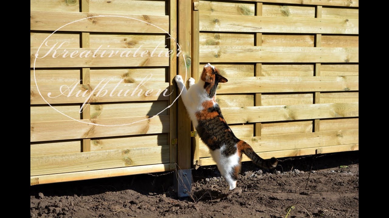 PROJEKT TEIL 9 Blumenfarm: Sichtschutzzaun errichten mit Pleiten, Pech und Pannen