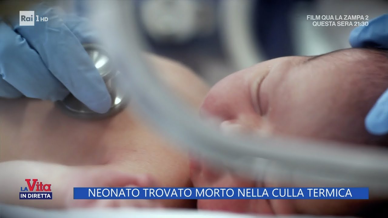 Neonato trovato morto nella culla termica a Bari: aperta un'indagine - La vita in diretta 02/01/2025