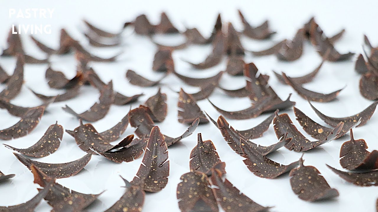 How To Make Chocolate Feathers (And How To Temper Chocolate)