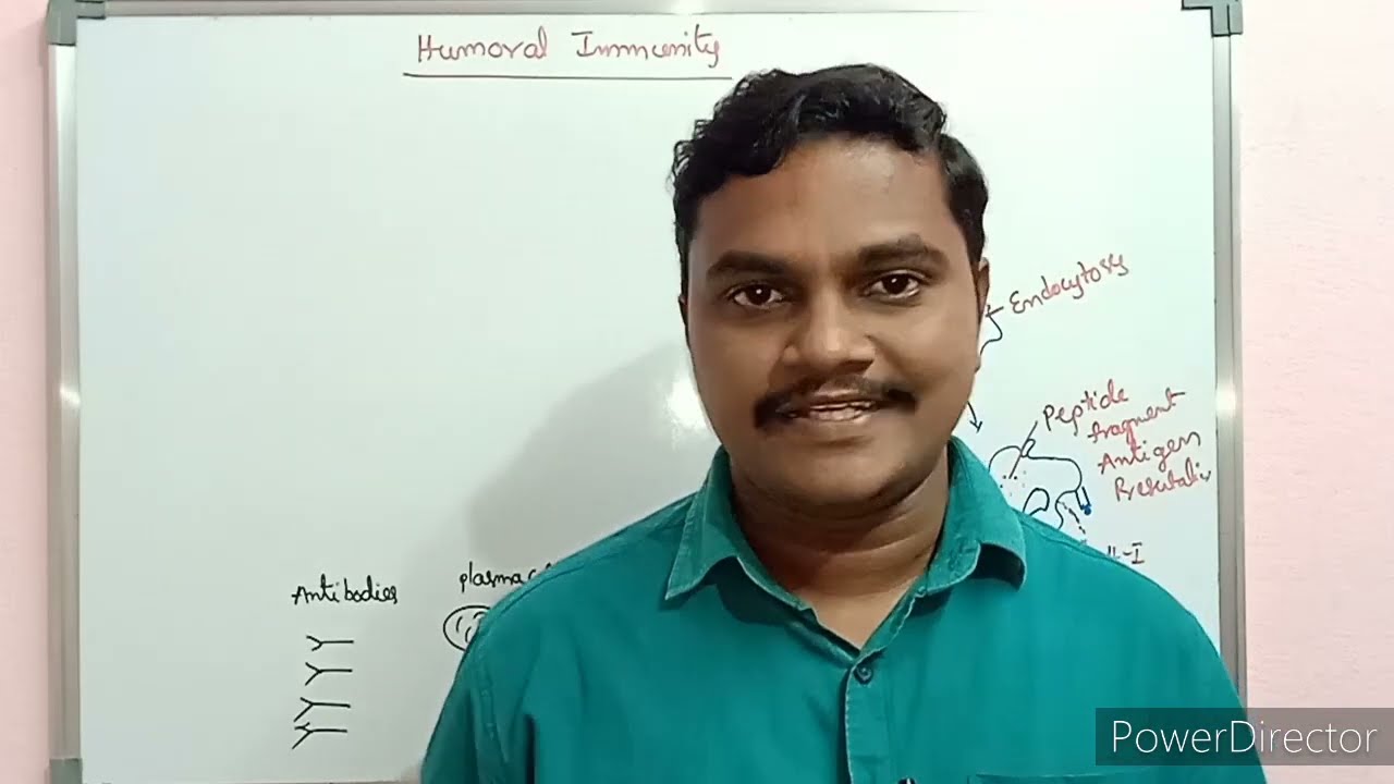 Humoral immunity