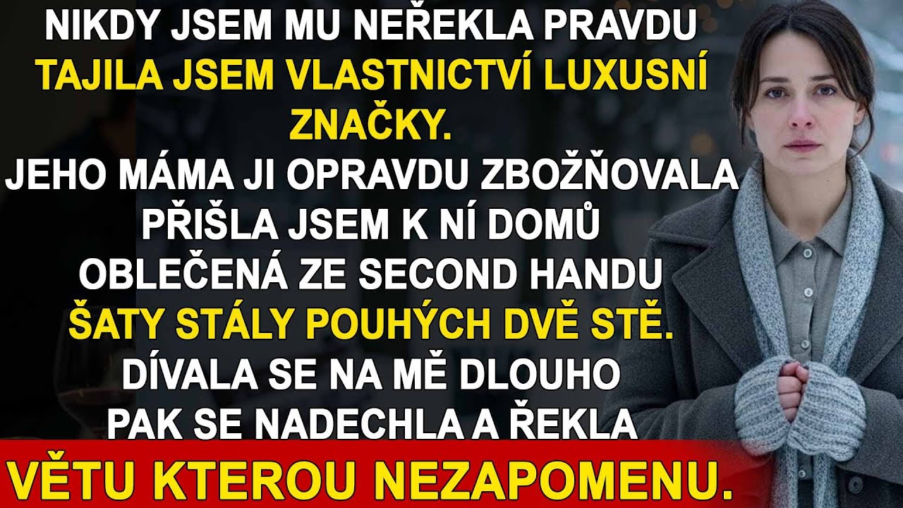 Předstírala Jsem, Že Jsem Chudá Před Svou Tchýní, Abych Viděla Její Reakci—To Co Řekla Mě Šokovalo