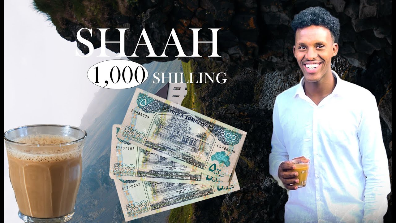 MEHERADII UGU SHAAHA JABNAYD HARGAYSA 1,000 SHILING || CHeap TEA