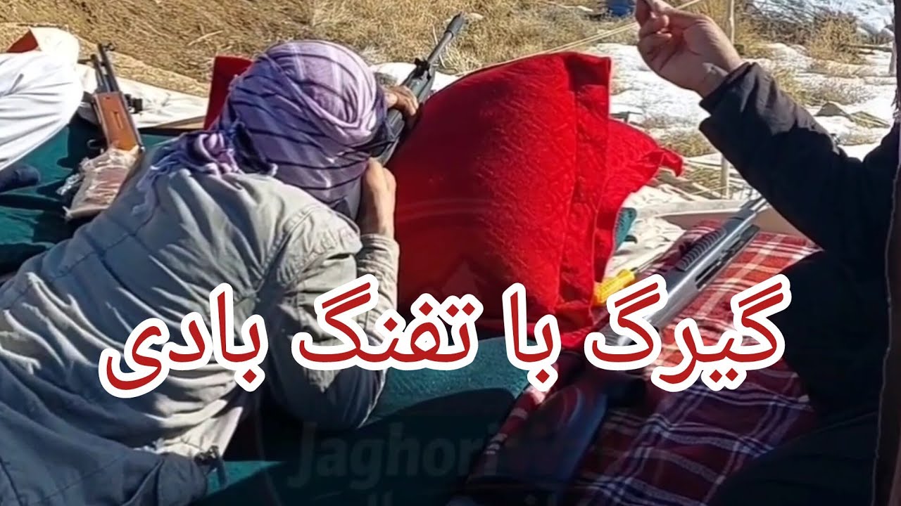 گیرگ با تفنگ بادی