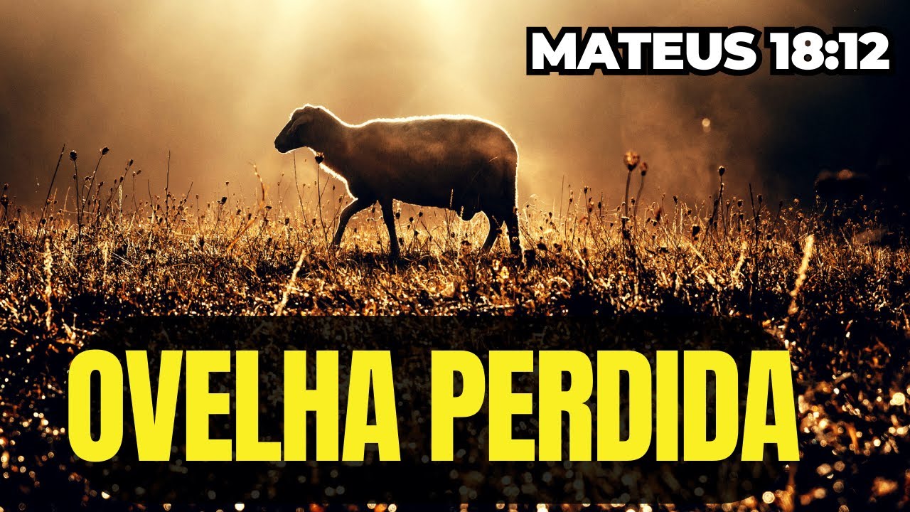 Ovelha Perdida: A busca incessante do amor de Deus