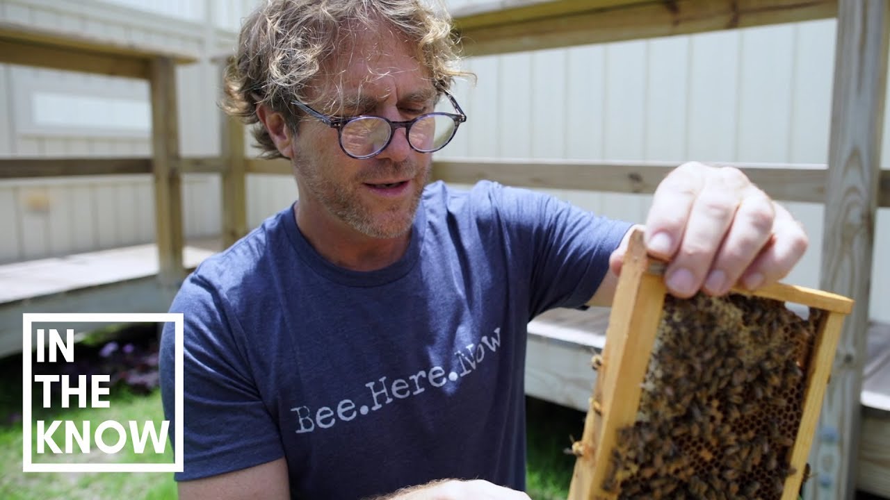 Ted Dennard is a modern day bee whisperer