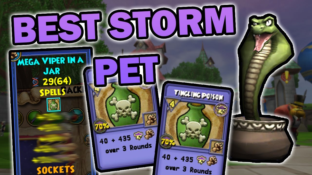 Making The PERFECT Full Offensive Storm Pet In Wizard101