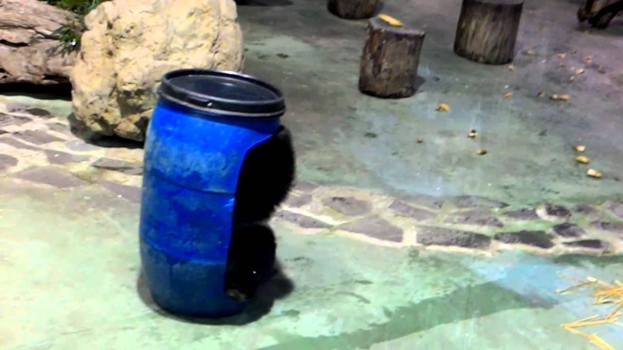 20141211 不陪我玩就搗蛋~圓仔篇 in Taipei Zoo