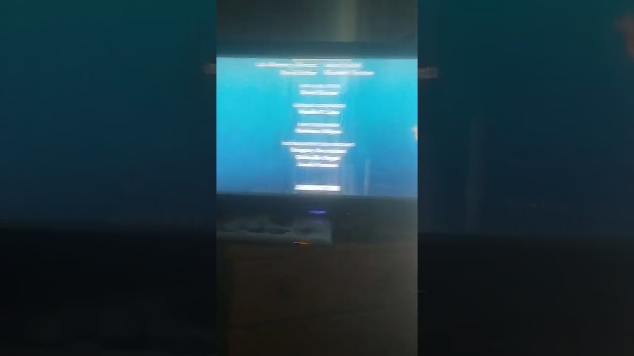 Trouver Nemo Générique de Fin