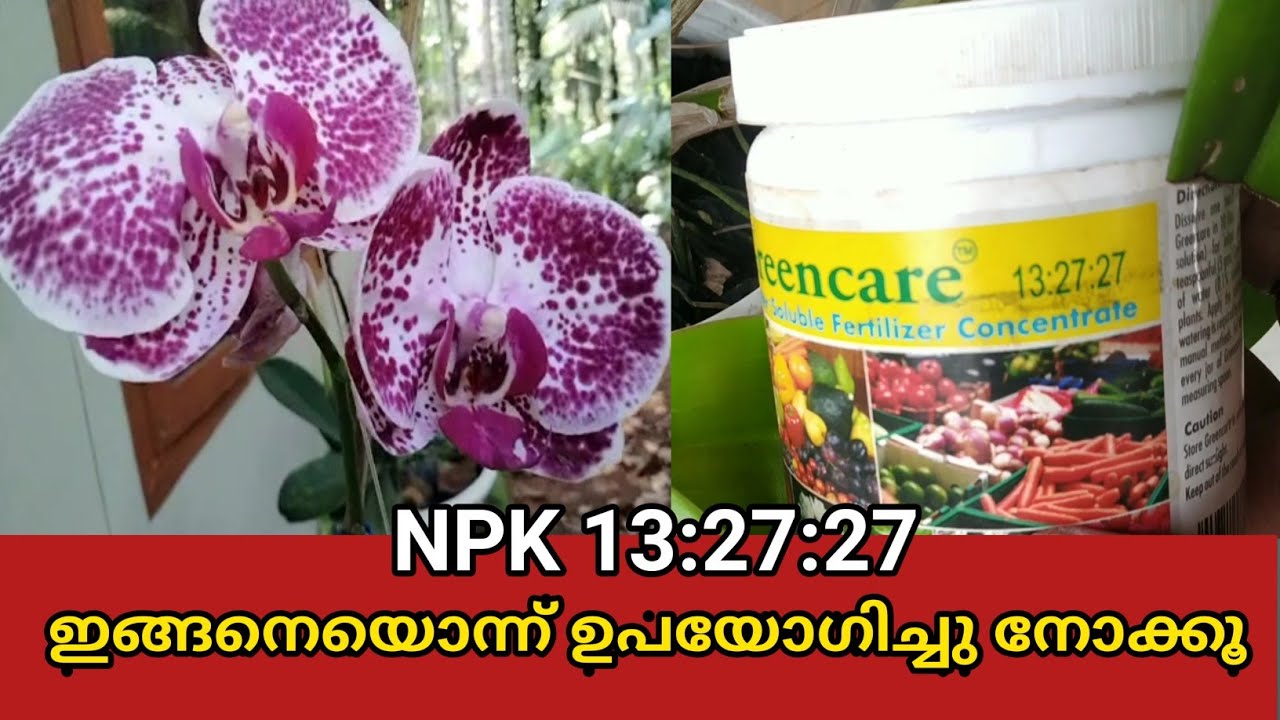 NPK 13:27:27 ഇങ്ങനെയൊന്ന് ഉപയോഗിച്ചു നോക്കൂ..... | SR Vlogs by Naji💕💕