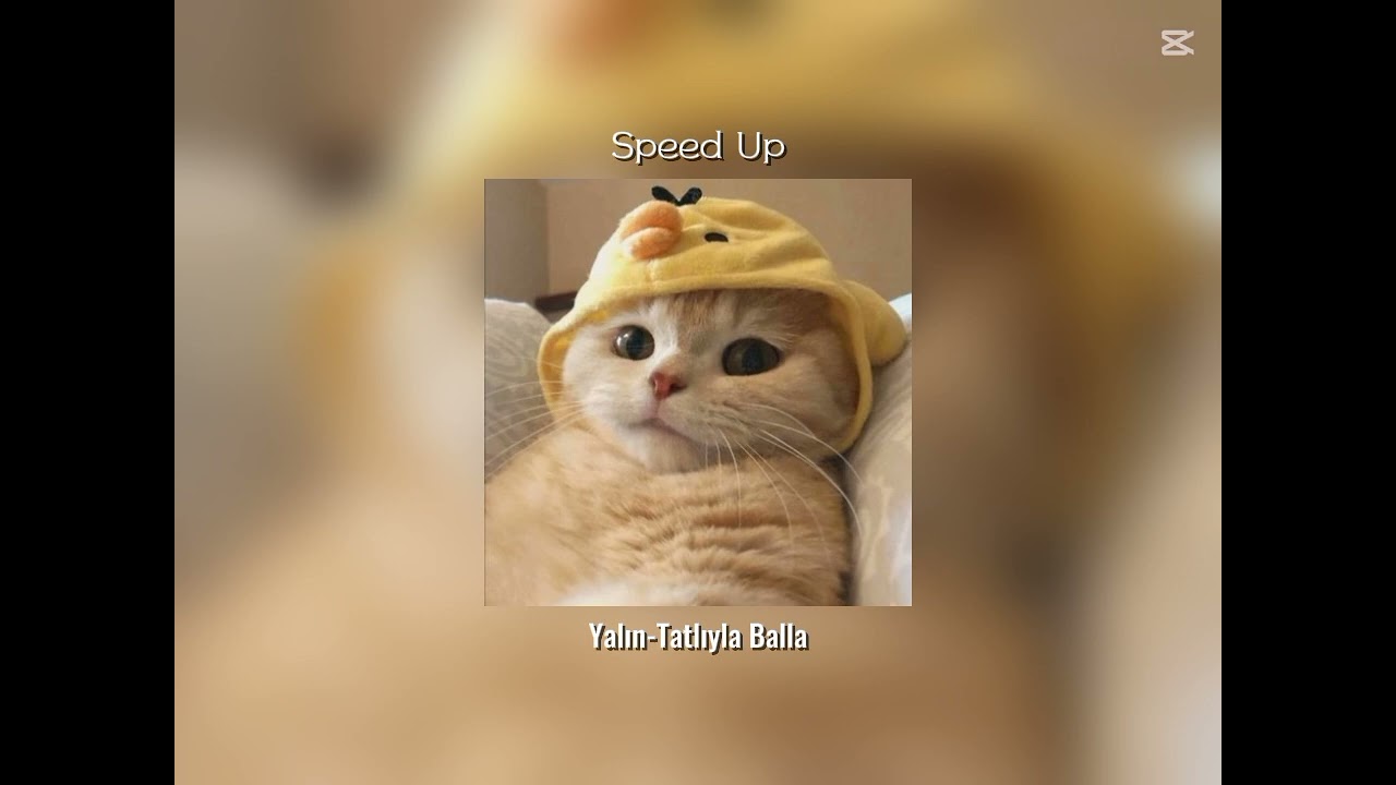 Yalın - Tatlıyla Balla (speed up) ♡