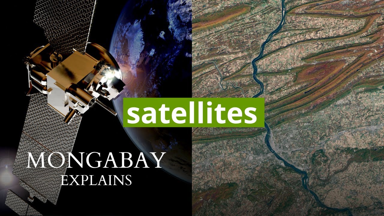 How are satellites used for conservation? | Mongabay Explains