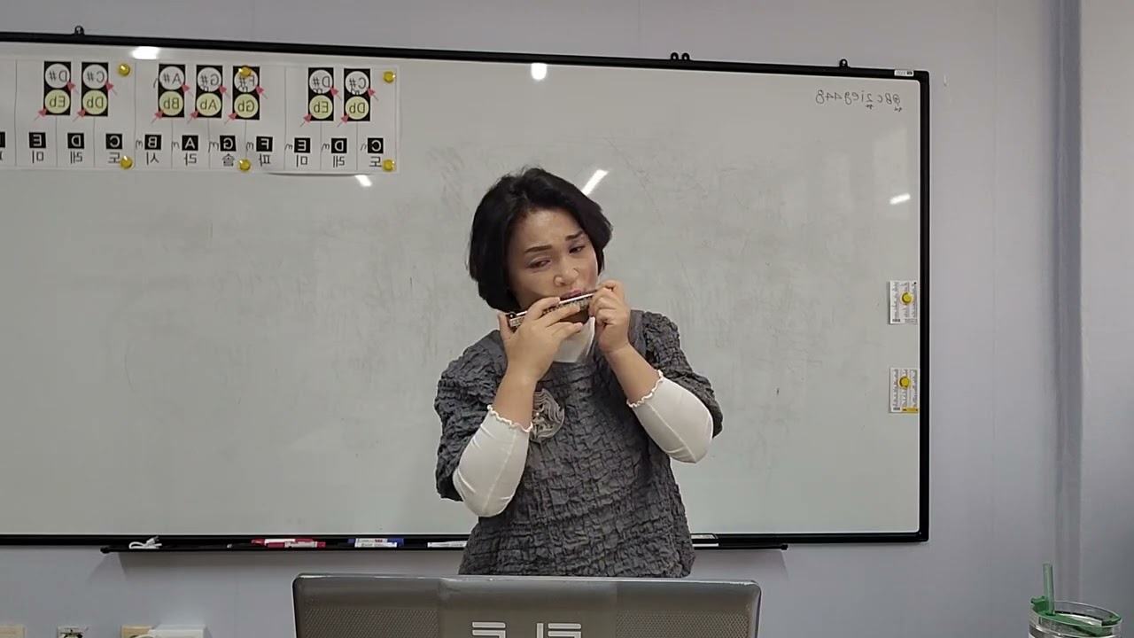 은혜 하모니카연주