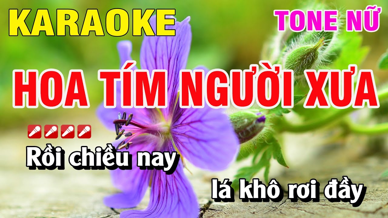 Karaoke Hoa Tím Người Xưa Tone Nữ Nhạc Sống | Hoàng Luân