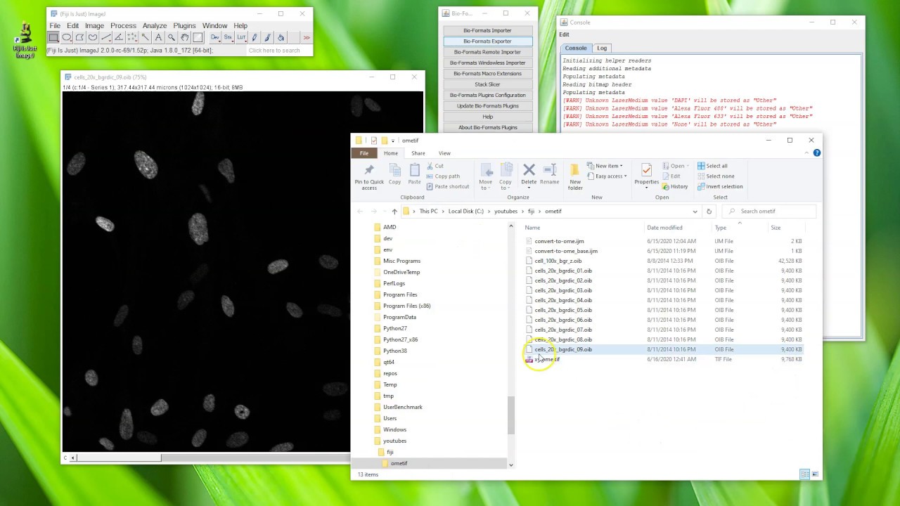 Fiji Is Just ImageJ - ome.tif - Part 1 - Simple Export