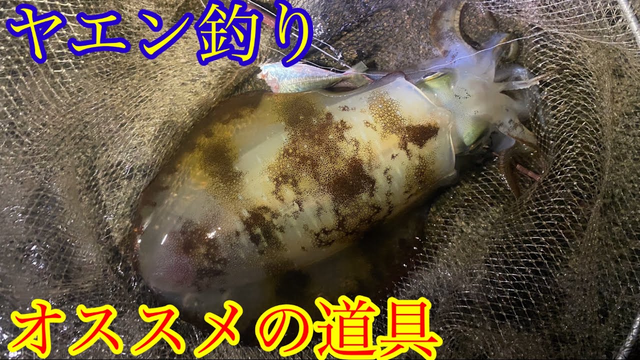ヤエン釣りにオススメな釣り具（スカリ）