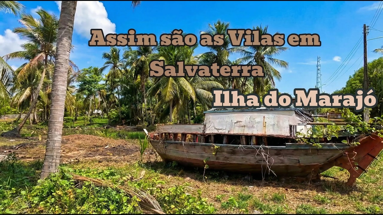 Ilha de Marajó de Carro - Conhecendo marajó além das praias famosas