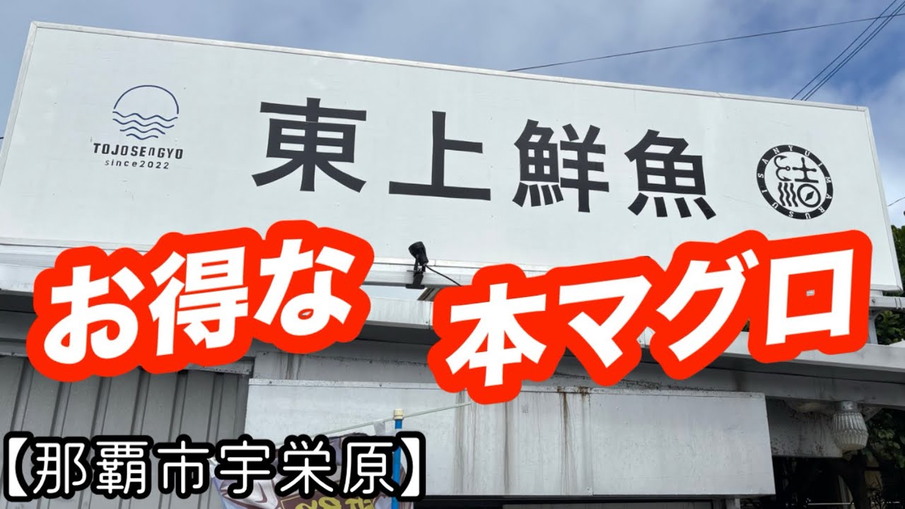 東上鮮魚【那覇市宇栄原】 本マグロが  この値段！！