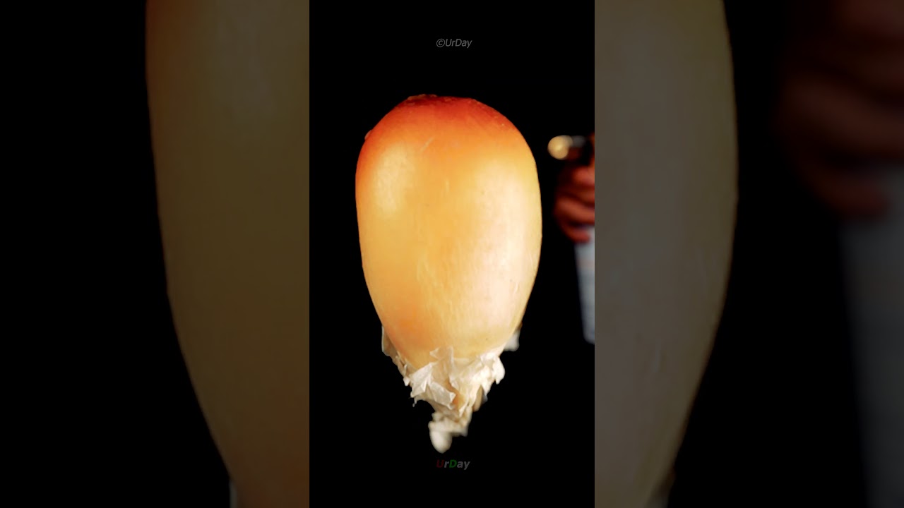 Popcorn flying super slow motion zoom in #urday #macro #satisfying