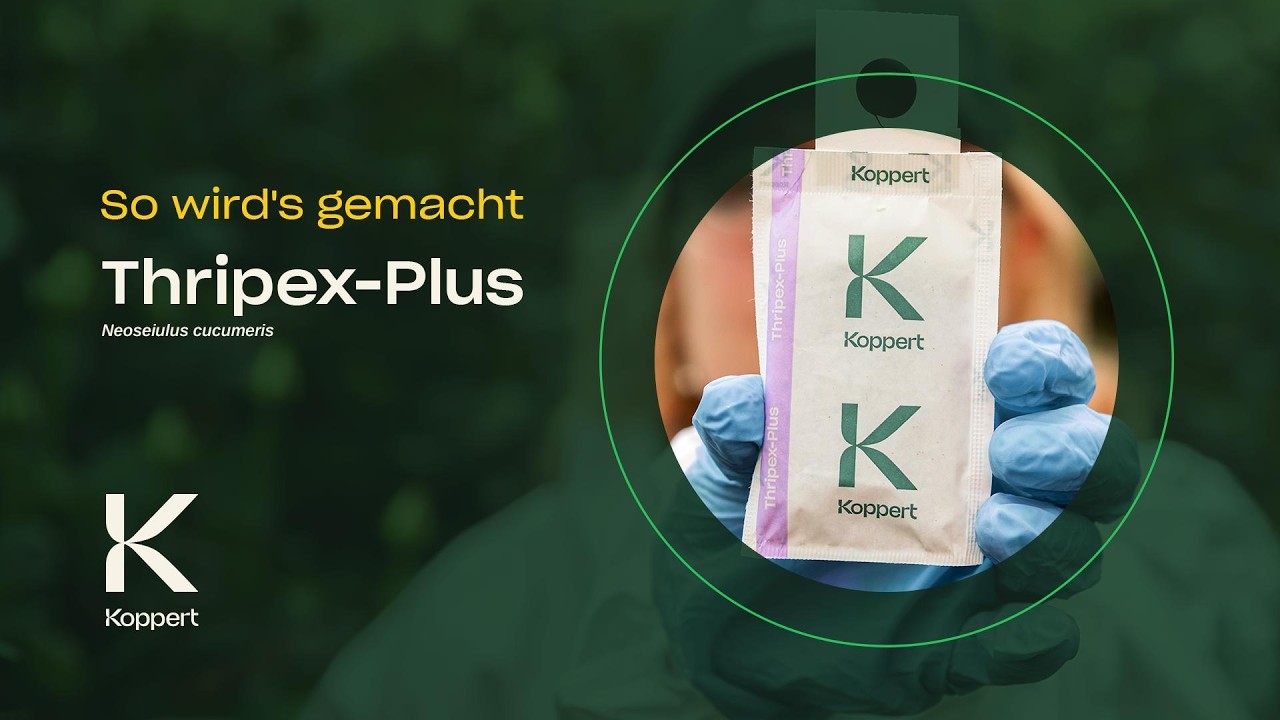 So wird's gemacht - Thripex-Plus