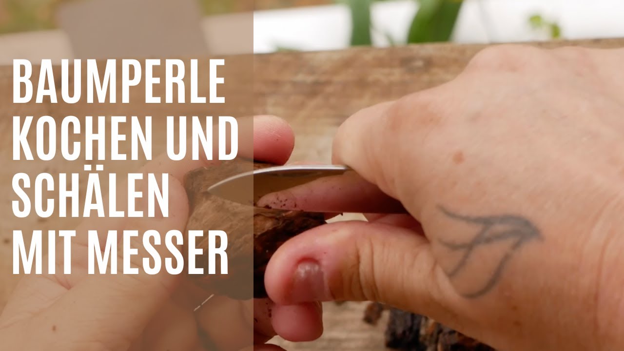 Baumperlen sch&auml;len wenn die Rinde und die Baumperle bereits trocken sind. Baumperlen Abkochen.