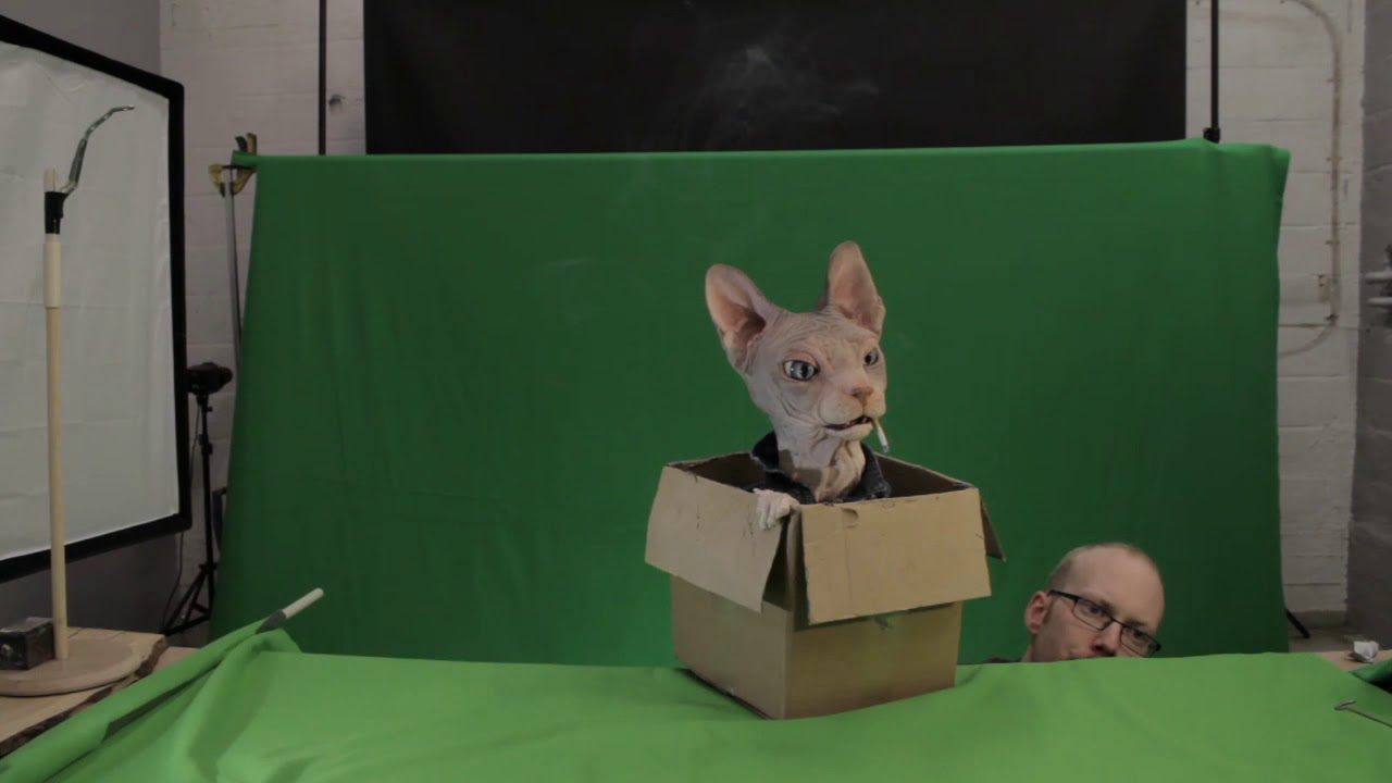 We r Animals, Making of screen test2