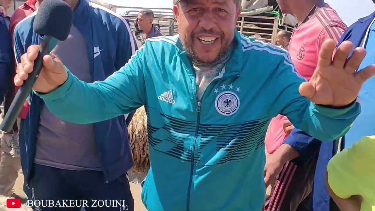 الجزء الأول، أسعار المواشي بسوق الذرعان ولاية الطارف اليوم